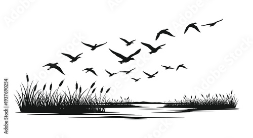 A black and white illustration depicts a flock of birds flying over reeds and water silhouette high quality