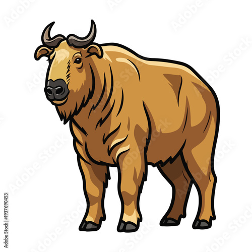 Cartoon bison standing isolated on white background