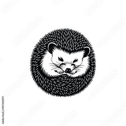 Sleeping Hedgehog Curled Up in a Ball