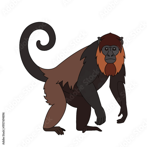 Cartoon illustration of a crested black and brown monkey standing
