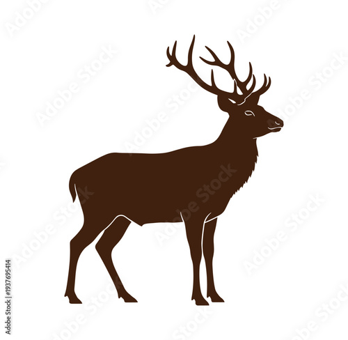 Brown deer with large antlers standing alone on white background