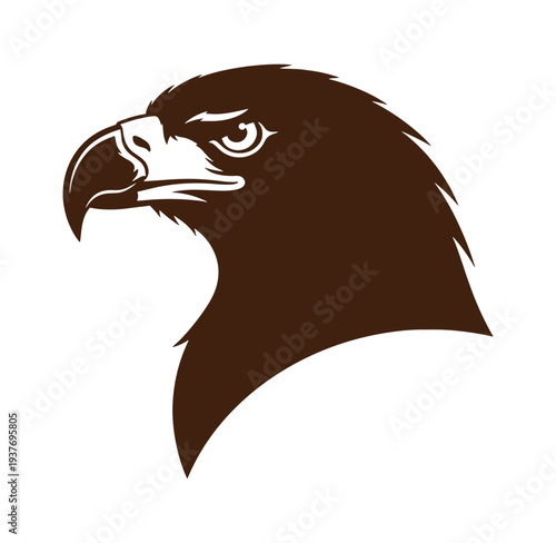 brown eagle head in profile view with white accents and strong gaze  bird of prey