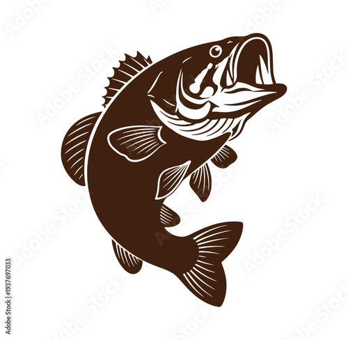 Large mouth bass jumping out of water with open mouth and fins visible