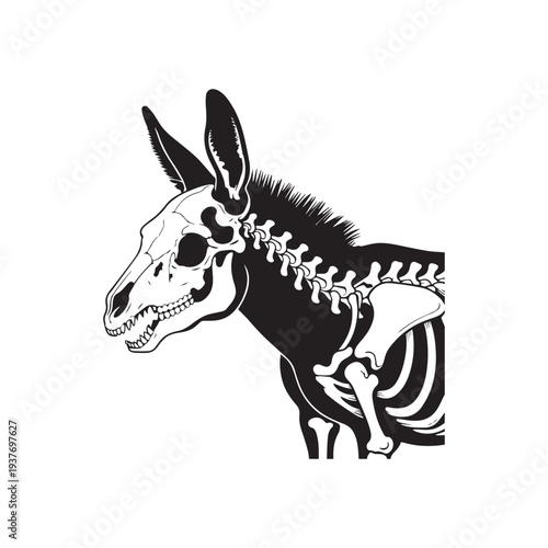 A Bold Black And White Vector Illustration Featuring A Stylized Donkey Skeleton. 