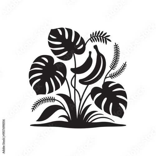 Tropical Jungle Plants Banana Palm Monstera Leaves Silhouette Botanical Nature Vector Illustration.