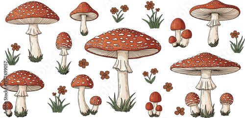 Fly Agaric Mushroom Vector Collection with Red Toadstools and Forest Wild Fungi for Autumn Nature Botanical Illustration and Woodland Design
