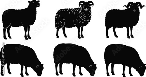 Sheep Silhouette Collection Featuring Ram With Large Horns Ewe Standing And Lamb Grazing Set Of Farm Animal Vectors Isolated On White Background For Agriculture Design