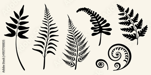 Black silhouettes of various fern leaves and decorative botanical elements