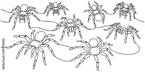 Set of continuous one line drawing of spider web and spiders. Traditional Halloween symbols. Vector illustration