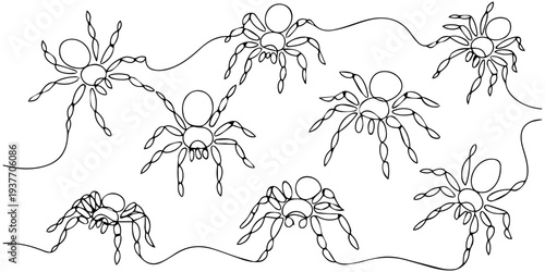 Set of continuous one line drawing of spider web and spiders. Traditional Halloween symbols. Vector illustration
