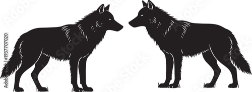 "Symmetrical silhouette of two wolves facing each other in mirrored stance, symbolizing wilderness strength, duality, unity, communication, and cultural metaphors in artistic design"