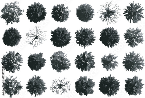 Collection of 25 grayscale tree canopy top views arranged in grid, showcasing diverse shapes, foliage density, and branching patterns for landscape architecture and environmental design.