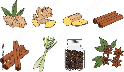 Professional vector illustration set of fresh aromatic spices featuring ginger root cinnamon sticks lemongrass and black pepper for culinary and herbal medicine concepts.