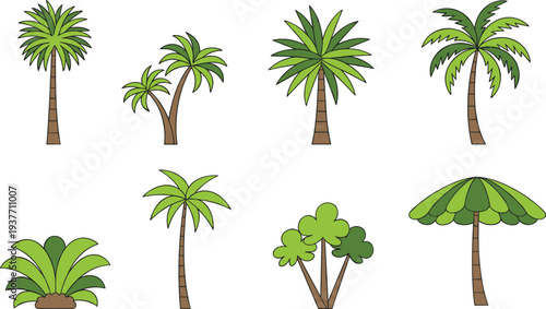 Tropical palm tree illustration, exotic plant artwork, stylized foliage design, summer landscape drawing, botanical cartoon art, creative jungle vegetation scene