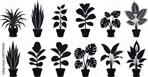 Potted houseplant silhouette collection featuring various indoor plants, botanical foliage vector set isolated on light background, decorative home plants illustration for design, gardening and nature