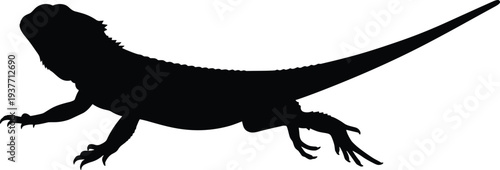 Bearded dragon lizard silhouette, reptile animal black flat vector illustration isolated on white background detailed design