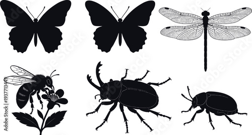 Insect silhouette collection featuring butterfly, dragonfly, bee, beetle and bug vector illustrations, detailed nature wildlife set isolated on light background for design and decoration