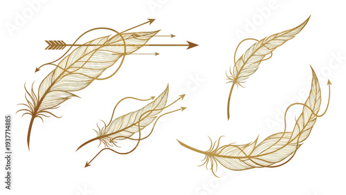 Elegant vintage style illustration of bird feathers entwined with arrows in golden brown ink on a plain white background.