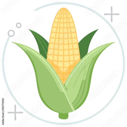 Corn cob illustration, isolated design, graphic element on circle with plus