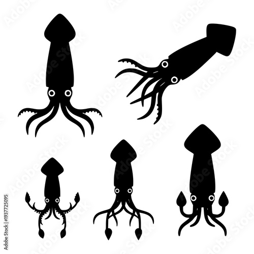 Squid logo vector set flat marine animal icons isolated on white background EPS10