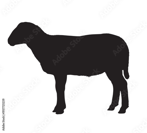 Silhouette of a sheep standing in profile view, a common farm animal known for its wool and meat, depicted in a simple black outline against a white background