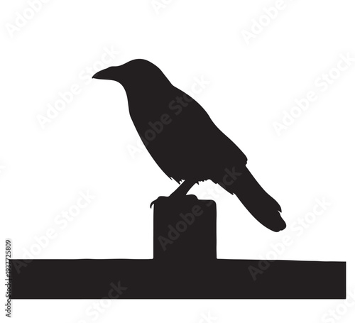 Silhouette of a solitary crow perched on a wooden post, set against a simple black background, representing nature and wildlife