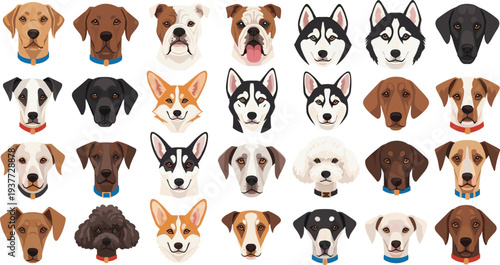 Collection of different dog breed head portraits vector illustration, large set of domestic pet icons isolated on white background, canine animal faces,