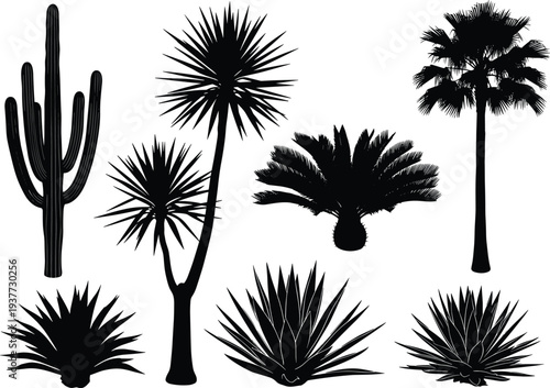 Desert plants and palm tree silhouettes collection including cactus, agave and tropical foliage, botanical nature elements isolated for landscape, garden and desert design