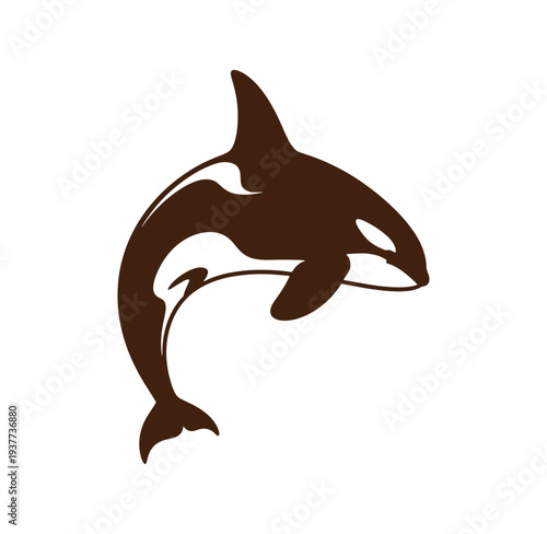 Brown orca whale jumping out of water in a dynamic swimming motion sideways