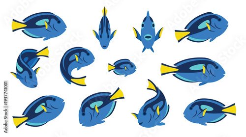 Collection of blue tang fish illustrations in various poses and perspectives, showcasing their distinctive yellow tails and fins.