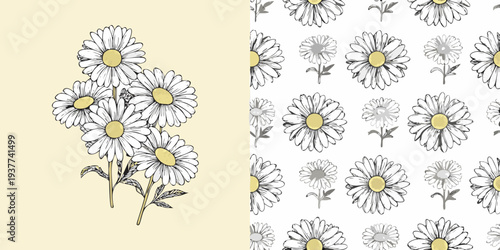 Floral arrangement and seamless pattern featuring delicate daisy illustrations