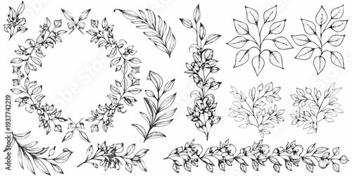 Botanical illustration of various leaves and branches in black and white