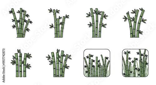 Bamboo Plant Illustrations in Various Containers.