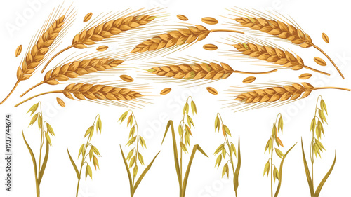 Golden Wheat and Rice Plant Vector Set Featuring Grain Ears, Seeds, and Agricultural Harvest Elements for Farm and Food Design