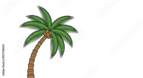 Tall tropical palm tree with lush green fronds and brown coconuts standing strong against a bright white background.