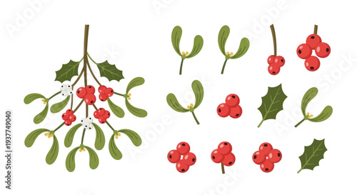 Christmas Mistletoe and Holly Berries Vector Elements