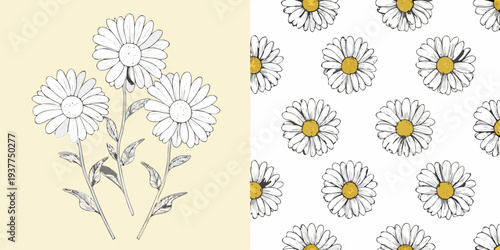 Floral illustration featuring daisies in a split design bouquet and pattern