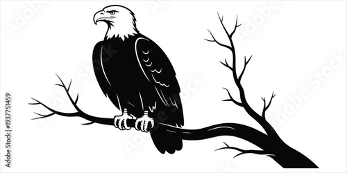 Black silhouette of a bald eagle perched on a bare tree branch against white bird