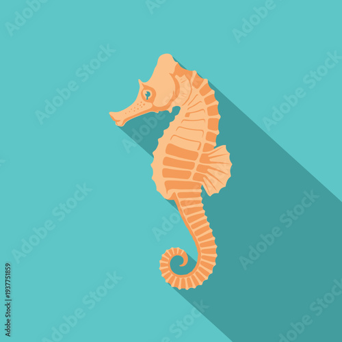 Orange seahorse illustration with long shadow on turquoise background