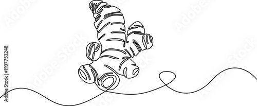 WebMinimalist Single Line Drawing of Ginger Root