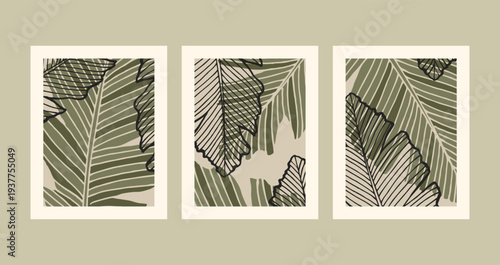 Green wall art vector set. Abstract Plant Art design for print, cover, wallpaper, Minimal and natural wall art. Vector illustration.