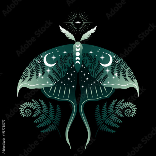 Vector illustration of green moon moth and fern. For print for T-shirts and bags, decor element. Mystical and magical, astrology illustration