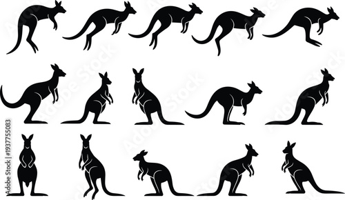 Collection of black kangaroo silhouettes in various poses on a white background marsupial animal