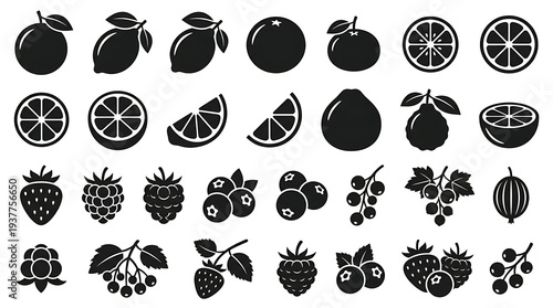Collection of Various Fresh Fruits Icons.