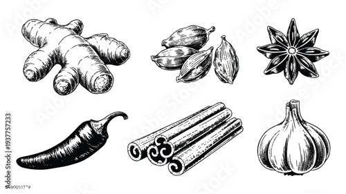 Spices and herbs for cooking and baking  various ingredients