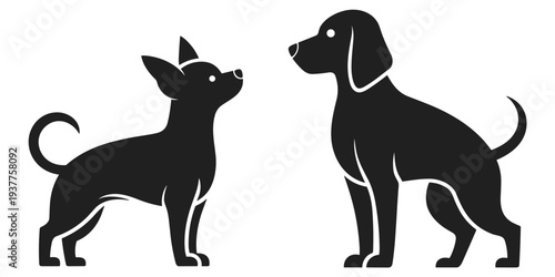 Silhouette of a small chihuahua dog looking up at a larger dog on white background Keywords: chihuahua, dog, canine, pet, animal