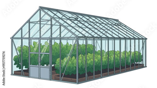 Large professional glass greenhouse for agriculture is filled with rows of healthy green plants and vegetation on a white background.