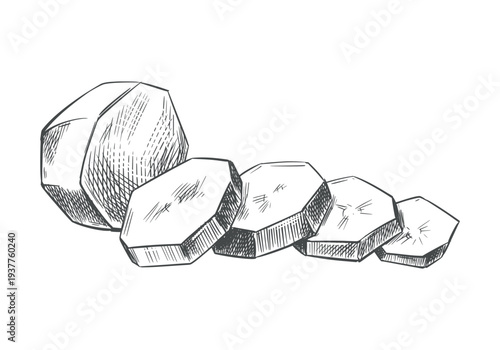 Vector sketch of sliced potatoes. The peeled tuber and slices lie on a table. Ink outline drawing. Hand-drawn. Imitation of engraving.