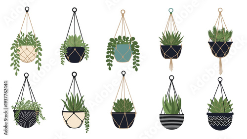 Collection of various indoor green plants in decorative hanging macrame pots and ceramic containers on white background.