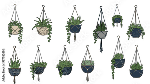 Collection of decorative indoor hanging plants in stylish woven macrame holders and dark blue ceramic pots for home decor.